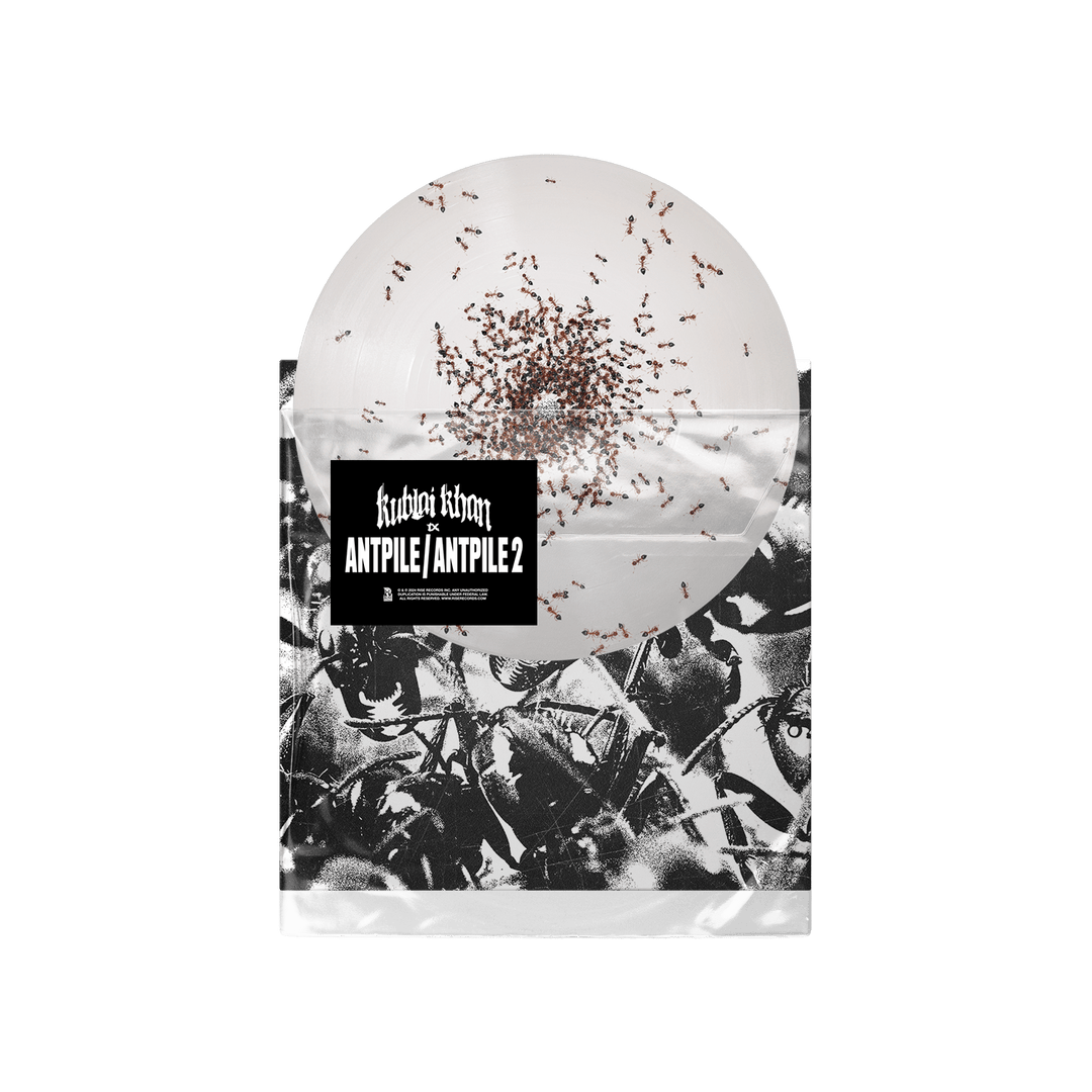 holoindie LP盤 Antpile Picture Disc 7