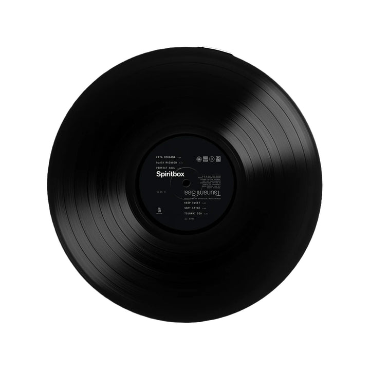 未使用品レコードLP 再販黒盤　comings　WHALE LIVING LP2_720x.jpg?v=1762792405